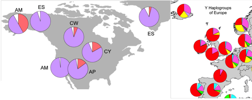 Y Haplogroups Map